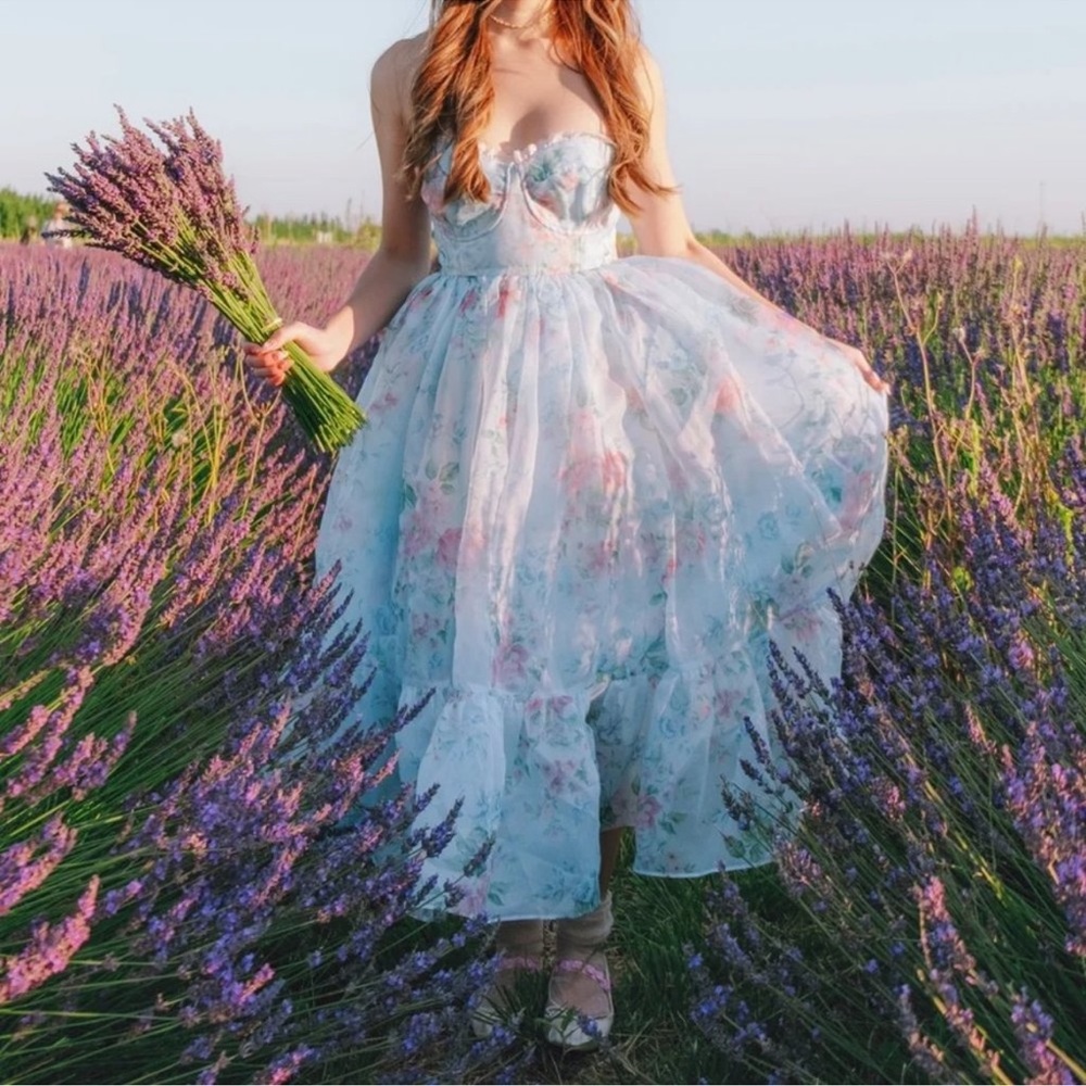 FREE PEOPLE Selkie French Corset Puff MIDI Dress Powder Blue Floral